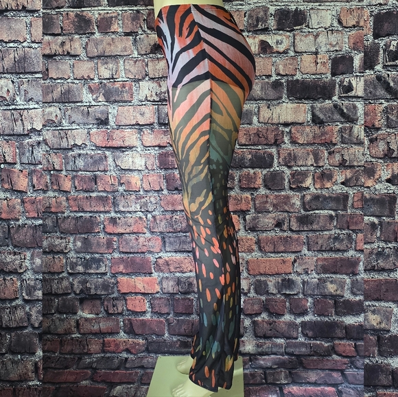 Wild Side Zebra Print Mesh Pants - Picture 5 of 11